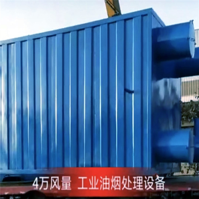 4萬風(fēng)量工業(yè)油煙處理設(shè)備，德佳環(huán)保